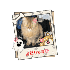 arisa_20251025171845