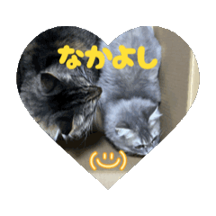 mokomiko2