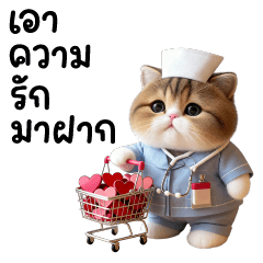 บิ๊ก พยาแบว ❤️ น่ารัก