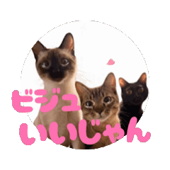 お酒とネコ好きな日常会話72