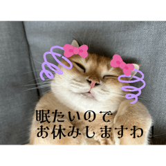 marina_20251025173852