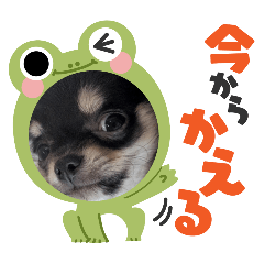 yukari_20251025180638