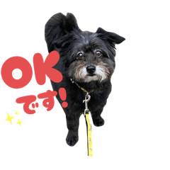 arisa_20251025180630