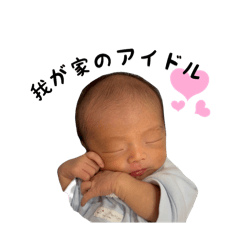 koara_20251025180640