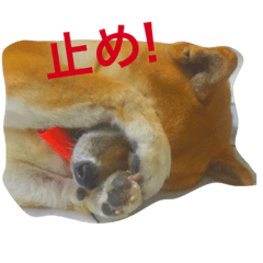 胖き小淘氣
