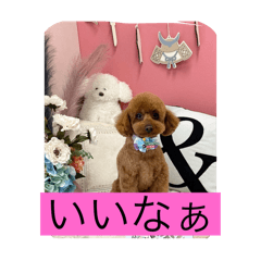 Chika_20251025192841