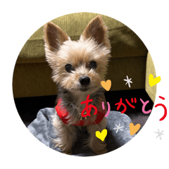 tetsu_20251025190121