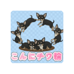 ichigo.jr_20251025172320