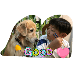 Happydog_20251025204212