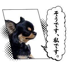 Sakura_20251025204925