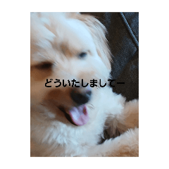 nagisa_20251025205219