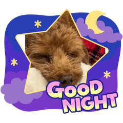 むぎむぎちゃんちゃんこ