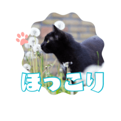 himawari_20251026004124