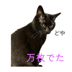 Kaori_20251026011039