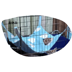 rikuta_20251025173506