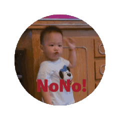 杜家雙胞胎日常生活