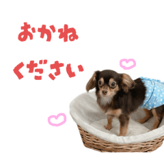 omochi_20251025213822