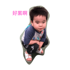 北蘭寶寶德德