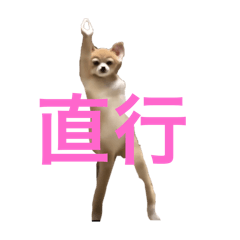 koto_20251025215702