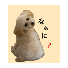 zuchan_20251025215847