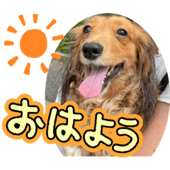 konkon_20251025221017