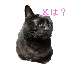 Kaori_20251025234826