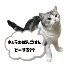 テトくんスタンプ2