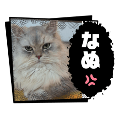 ASAHI_20251026075037