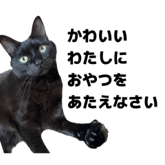 kumori_20251026092424