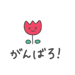 koto_20251026102905