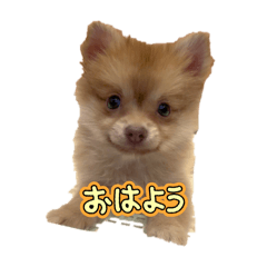 Chatty_20251026114411