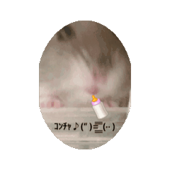 bosu_20251026101307