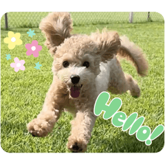 LULU_20251026132107