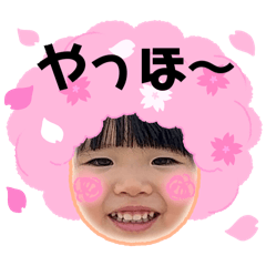 sakura_20251025221516