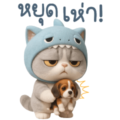 เจ้าแมวน้อยสีเทา-แชทใช้ได้ทุกวัน