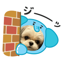 Wakana_20251026140844