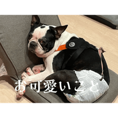 m_20251026141010