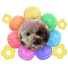 yurie_20251026141700