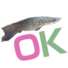 MAKOTO_20251026143315