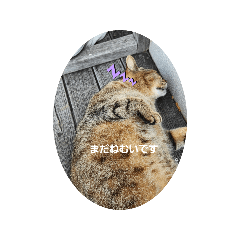 aokiti_20251026151309