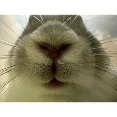 CANDY_20251026154229