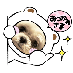 Wakana_20251026154419