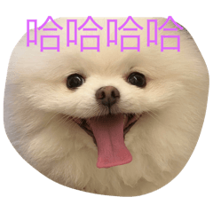 Q比比日常