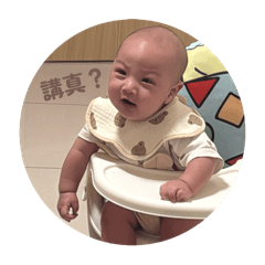 應該不會有第二彈貼圖