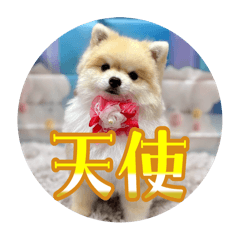 muf_y_20251026161832
