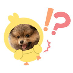 nanami_20251026162452