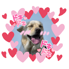 TSUBAKI_20251026162746