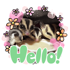 Baby Love You Forever