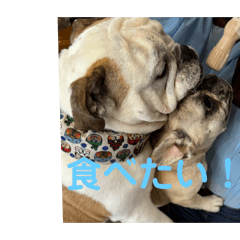 flower_20251026164258