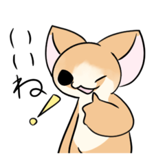 anzumaru_20251026230110